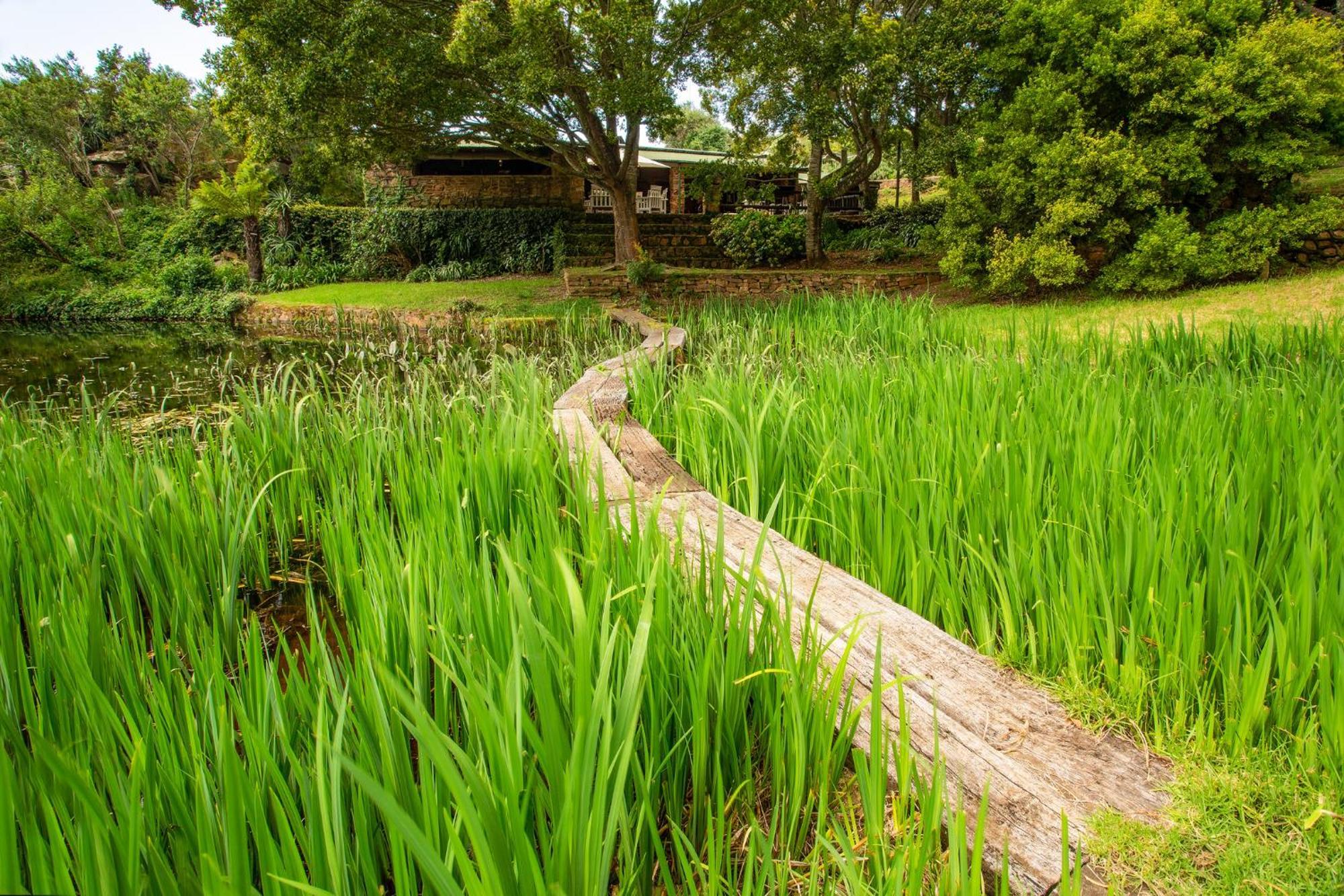 Paardeplaats Nature Retreat Rhenosterhoek Экстерьер фото